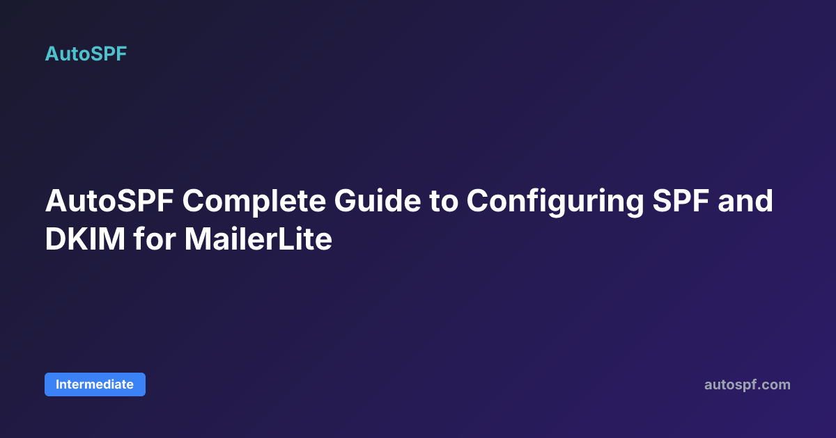 AutoSPF Complete Guide to Configuring SPF and DKIM for MailerLite