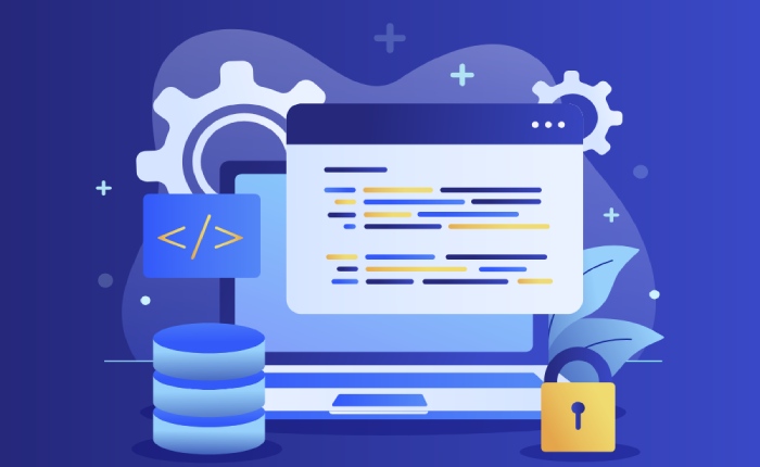 GoDaddy SPF Record: A Step-by-Step Setup Guide for Email Configuration 6 DNS Setting