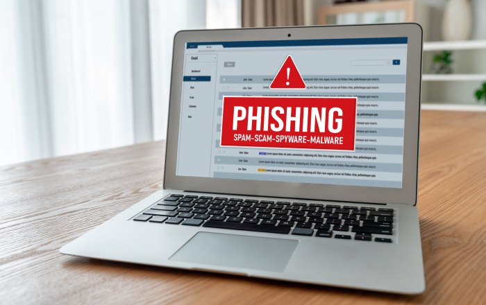 SPF Sendgrid Configuration Guide: Ensure Your Emails Pass Authentication 4 Email Phishing