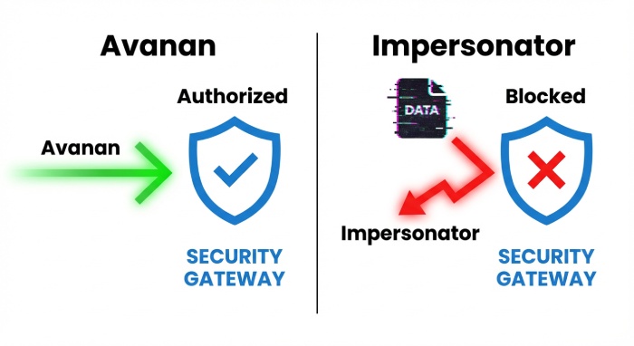 Authorized Sender vs. Domain Spoofer